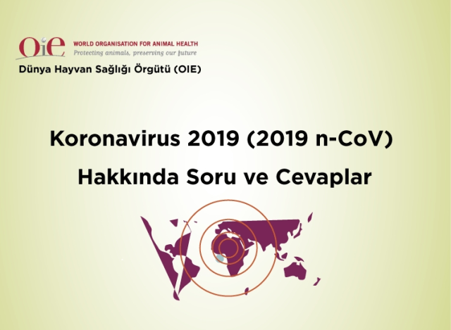 <Strong>Koronavirus 2019 (2019 N-Cov) Hakkında Soru Ve Cevaplar</Strong>